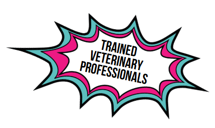 veterinary trained professionals Veterinary Technicians On Staff